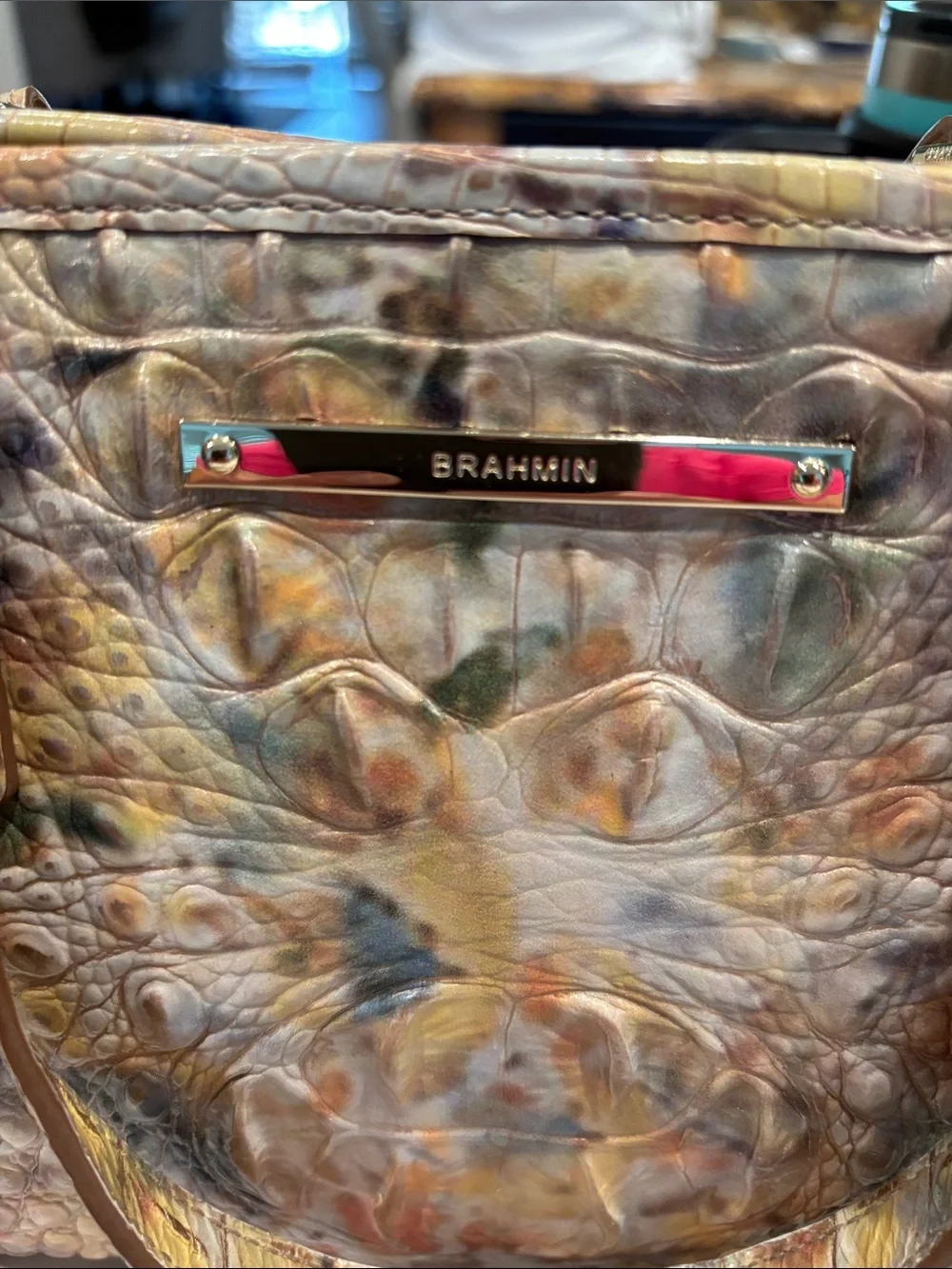 BRAHMIN. Purse